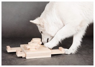 IQметр - развивающие игрушки для собак