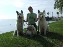 белая овчарка Evridikke Metius Baltic Beauty, Liana and CH Erodike Thalia Donnevara