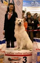 белая овчарка Метиус BIG-3 на Евразии-1, 2007