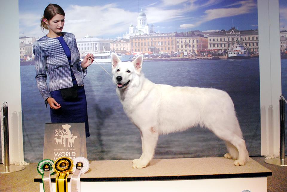 World Winner 4014 Baltic Beauty Galaxy Light