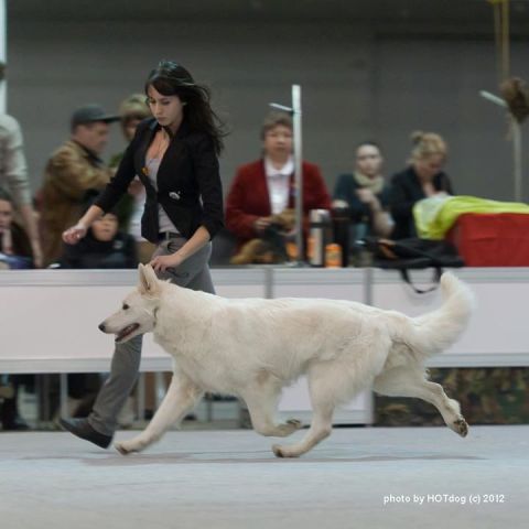 Baltic Beauty Gella