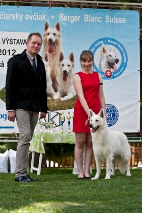 Baltic Beauty A Perfect Creation BOB on Speciality Show in Slovakia