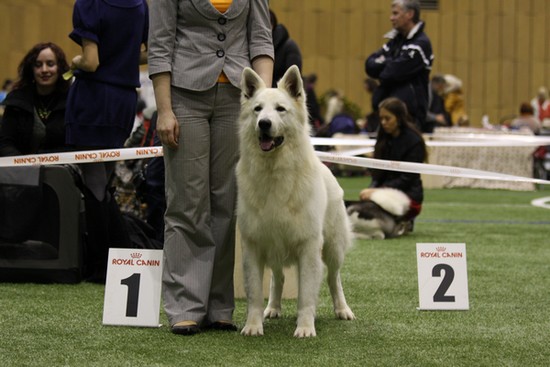 Metius BOB on Zooexpo 2012