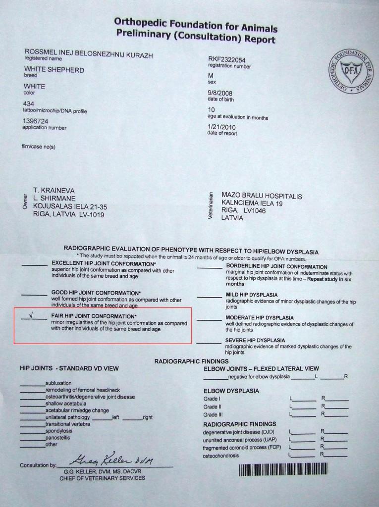 Официальный результат из OFA, USA