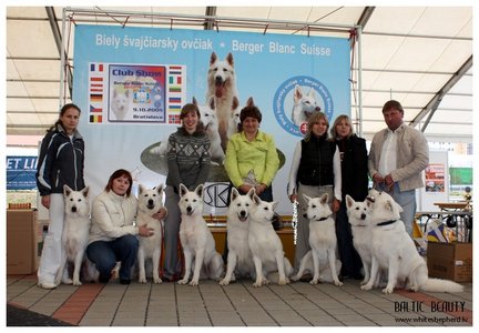 Baltic Beauty на специализированной выставке белых овчарок в Словакии Baltic Beauty на специализированной выставке белых овчарок в Словакии